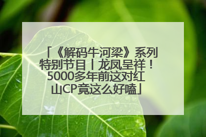 《解码牛河梁》系列特别节目丨龙凤呈祥！5000多年前这对红山CP竟这么好嗑