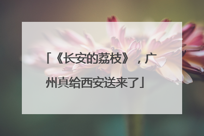《长安的荔枝》，广州真给西安送来了