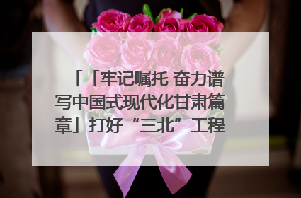 「牢记嘱托 奋力谱写中国式现代化甘肃篇章」打好“三北”工程攻坚战 筑牢国家西部生态安全屏障