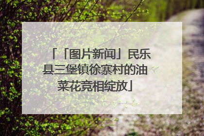 「图片新闻」民乐县三堡镇徐寨村的油菜花竞相绽放
