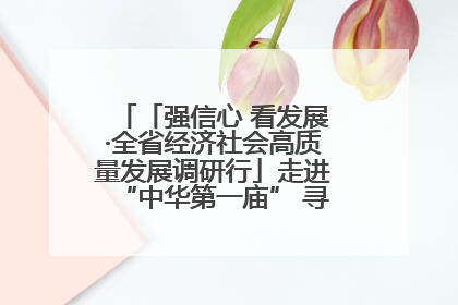 「强信心 看发展·全省经济社会高质量发展调研行」走进“中华第一庙” 寻根伏羲 祭祖龙城