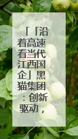 「沿着高速看当代江西国企」黑猫集团：创新驱动，奏响瓷都国企发展新乐章