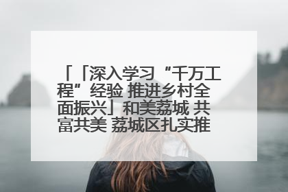 「深入学习“千万工程”经验 推进乡村全面振兴」和美荔城 共富共美 荔城区扎实推进乡村振兴工作