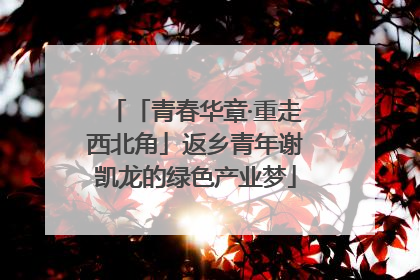 「青春华章·重走西北角」返乡青年谢凯龙的绿色产业梦