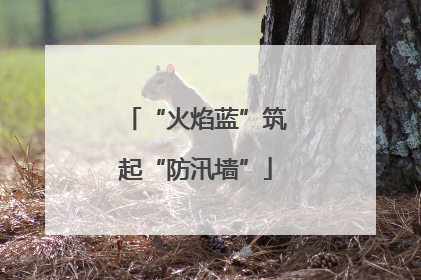 “火焰蓝”筑起“防汛墙”