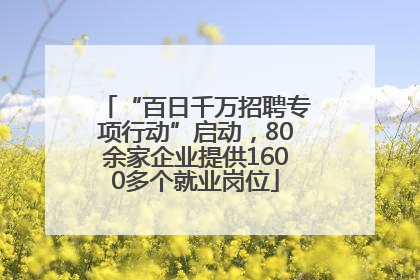 “百日千万招聘专项行动”启动，80余家企业提供1600多个就业岗位
