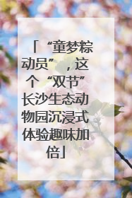 “童梦粽动员”，这个“双节”长沙生态动物园沉浸式体验趣味加倍