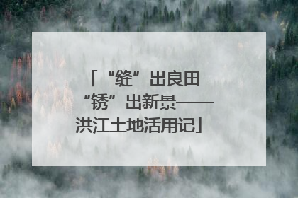 “缝”出良田 “锈”出新景——洪江土地活用记