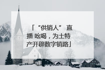 “供销人” 直播 吆喝，为土特产开辟数字销路