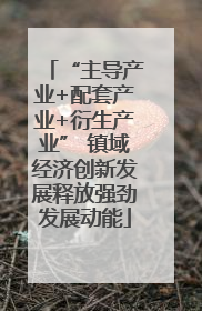 “主导产业+配套产业+衍生产业” 镇域经济创新发展释放强劲发展动能