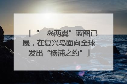 “一岛两翼”蓝图已展，在复兴岛面向全球发出“杨浦之约”