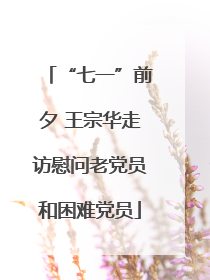 “七一”前夕 王宗华走访慰问老党员和困难党员