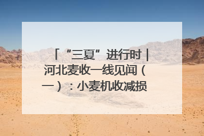 “三夏”进行时｜河北麦收一线见闻（一）：小麦机收减损“竞技” 农机高手麦田“过招”
