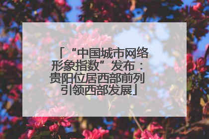 “中国城市网络形象指数”发布：贵阳位居西部前列 引领西部发展