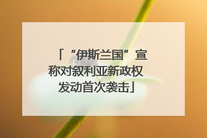 “伊斯兰国”宣称对叙利亚新政权发动首次袭击