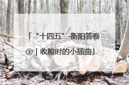 “十四五”·衡阳答卷③｜收粮时的小插曲