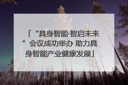 “具身智能·智启未来”会议成功举办 助力具身智能产业健康发展