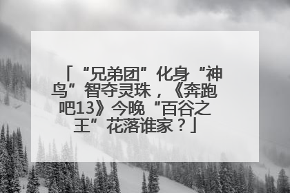“兄弟团”化身“神鸟”智夺灵珠，《奔跑吧13》今晚“百谷之王”花落谁家？