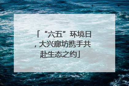 “六五”环境日，大兴廊坊携手共赴生态之约