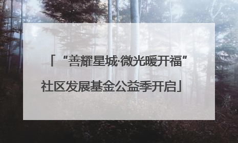 “善耀星城·微光暖开福”社区发展基金公益季开启