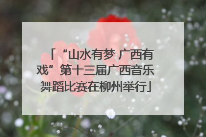 “山水有梦 广西有戏”第十三届广西音乐舞蹈比赛在柳州举行