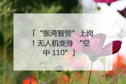“张湾智警”上岗！无人机变身 “空中 110”
