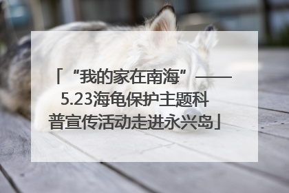 “我的家在南海”——5.23海龟保护主题科普宣传活动走进永兴岛