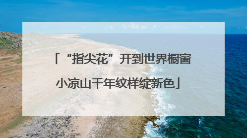 “指尖花”开到世界橱窗 小凉山千年纹样绽新色