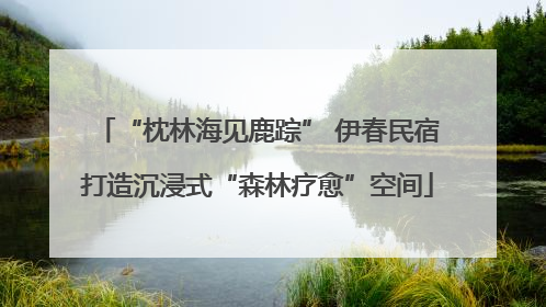 “枕林海见鹿踪” 伊春民宿打造沉浸式“森林疗愈”空间
