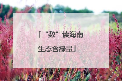 “数”读海南生态含绿量