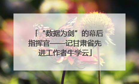 “数据为剑”的幕后指挥官——记甘肃省先进工作者牛学云