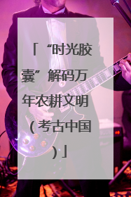 “时光胶囊”解码万年农耕文明（考古中国）