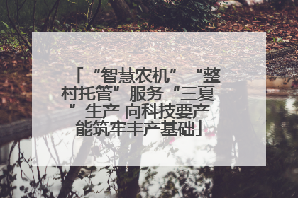 “智慧农机”“整村托管”服务“三夏”生产 向科技要产能筑牢丰产基础