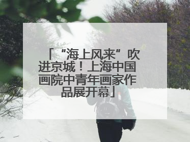 “海上风来”吹进京城！上海中国画院中青年画家作品展开幕
