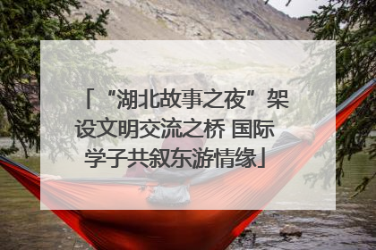 “湖北故事之夜”架设文明交流之桥 国际学子共叙东游情缘