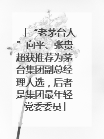 “老茅台人”向平、张贵超获推荐为茅台集团副总经理人选，后者是集团最年轻党委委员