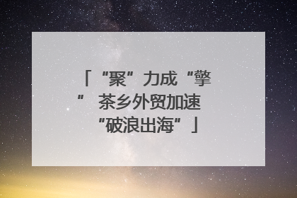 “聚”力成“擎” 茶乡外贸加速“破浪出海”