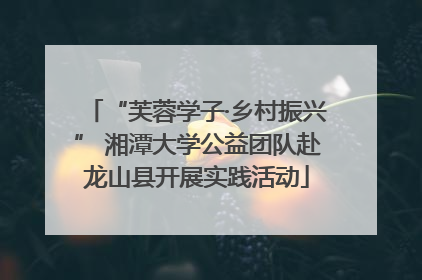 “芙蓉学子·乡村振兴” 湘潭大学公益团队赴龙山县开展实践活动