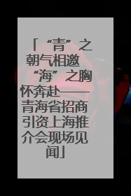“青”之朝气相邀 “海”之胸怀奔赴——青海省招商引资上海推介会现场见闻