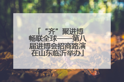 “齐”聚进博 畅联全球——第八届进博会招商路演在山东临沂举办