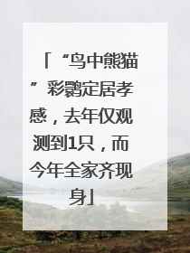 “鸟中熊猫”彩鹮定居孝感，去年仅观测到1只，而今年全家齐现身