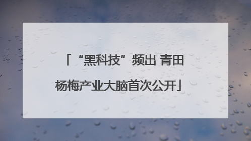 “黑科技”频出 青田杨梅产业大脑首次公开