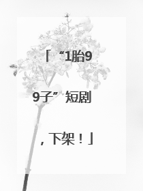 “1胎99子”短剧，下架！