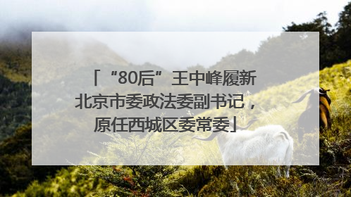 “80后”王中峰履新北京市委政法委副书记，原任西城区委常委