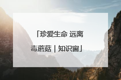 珍爱生命 远离毒蘑菇｜知识窗