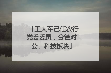 王大军已任农行党委委员，分管对公、科技板块