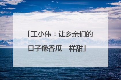 王小伟：让乡亲们的日子像香瓜一样甜