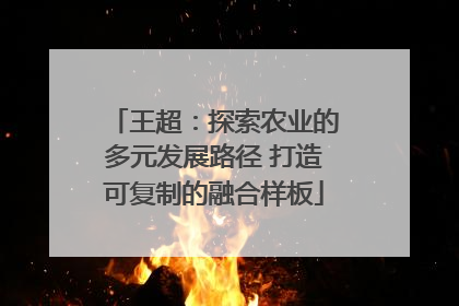 王超：探索农业的多元发展路径 打造可复制的融合样板