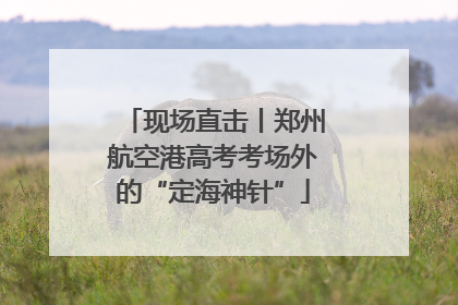 现场直击丨郑州航空港高考考场外的“定海神针”