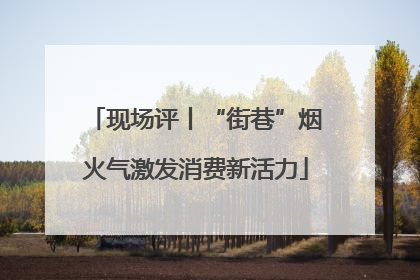 现场评丨“街巷”烟火气激发消费新活力